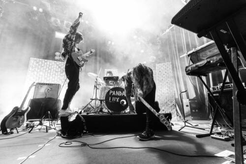 Kulturfestival 2017 panda lux 4939