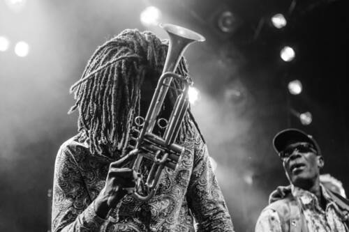 Kulturfestival 2017 skatellites 4538