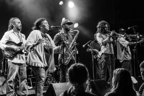 Kulturfestival 2017 skatellites 4586